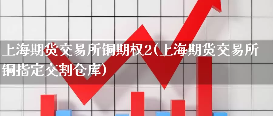 上海期货交易所铜期权2(上海期货交易所铜指定交割仓库)_https://www.07apk.com_股指期货_第1张