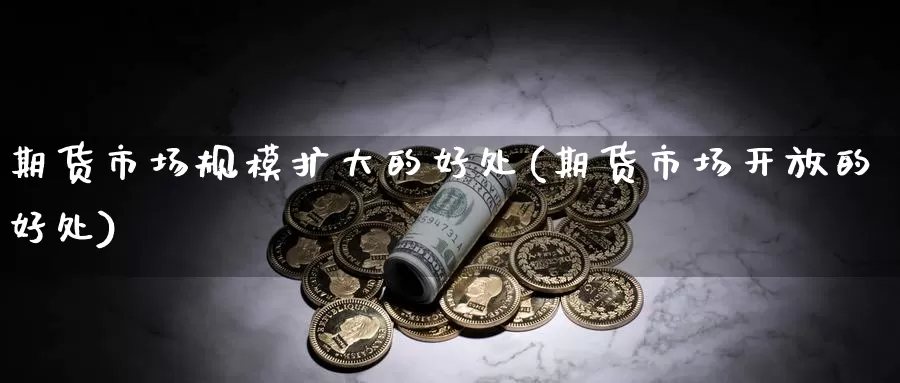 期货市场规模扩大的好处(期货市场开放的好处)_https://www.07apk.com_股指期货_第1张