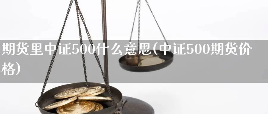 期货里中证500什么意思(中证500期货价格)_https://www.07apk.com_股指期货_第1张