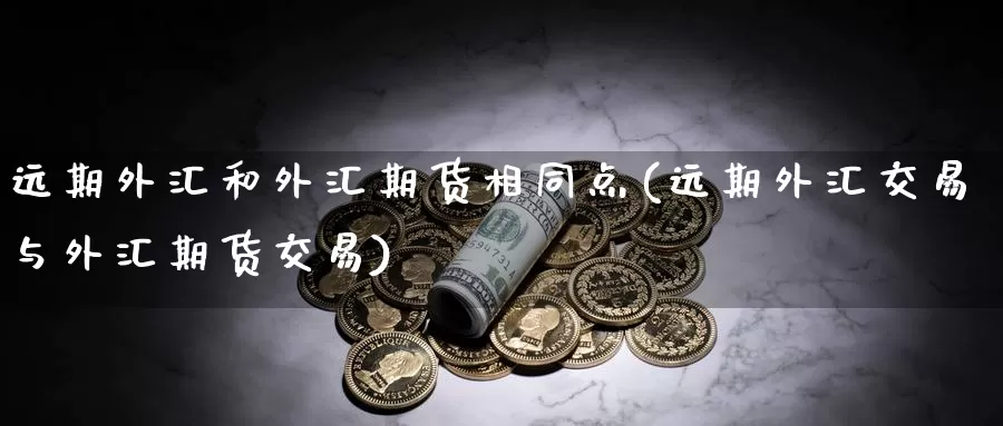 远期外汇和外汇期货相同点(远期外汇交易与外汇期货交易)_https://www.07apk.com_农产品期货_第1张