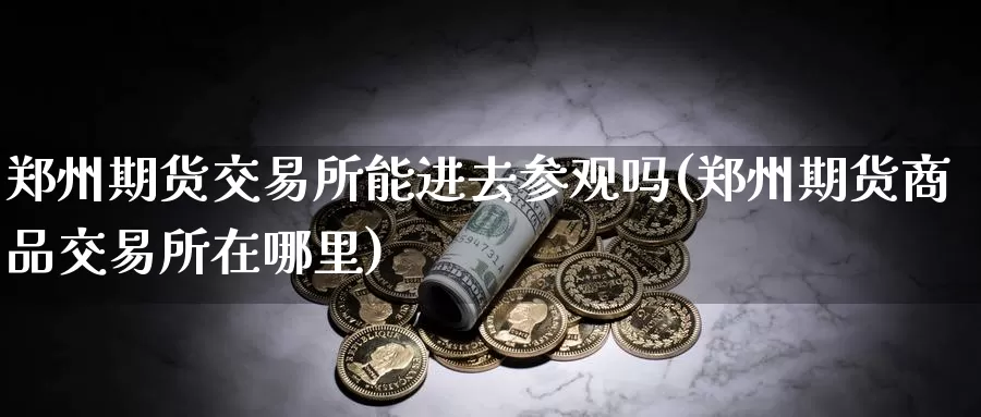 郑州期货交易所能进去参观吗(郑州期货商品交易所在哪里)_https://www.07apk.com_股指期货_第1张