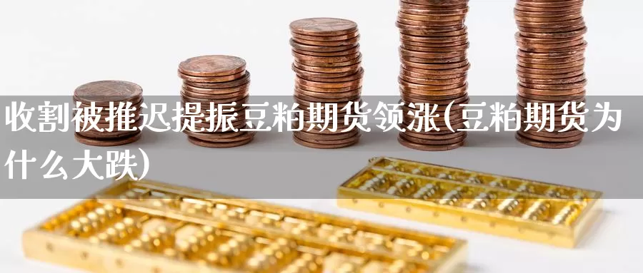 收割被推迟提振豆粕期货领涨(豆粕期货为什么大跌)_https://www.07apk.com_黄金期货直播室_第1张