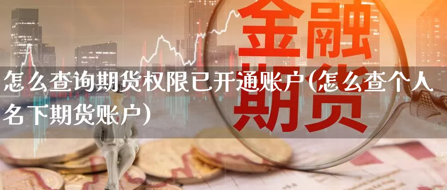 怎么查询期货权限已开通账户(怎么查个人名下期货账户)_https://www.07apk.com_农产品期货_第1张