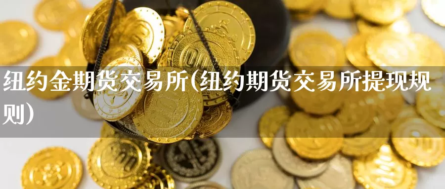 纽约金期货交易所(纽约期货交易所提现规则)_https://www.07apk.com_期货技术分析_第1张