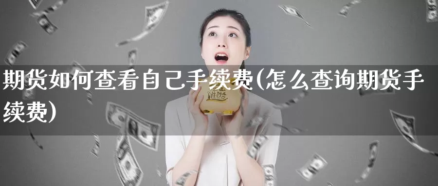 期货如何查看自己手续费(怎么查询期货手续费)_https://www.07apk.com_期货科普_第1张