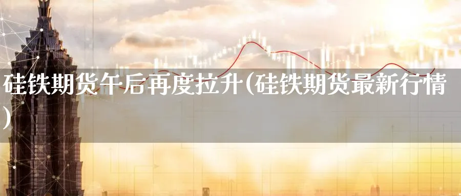 硅铁期货午后再度拉升(硅铁期货最新行情)_https://www.07apk.com_股指期货_第1张