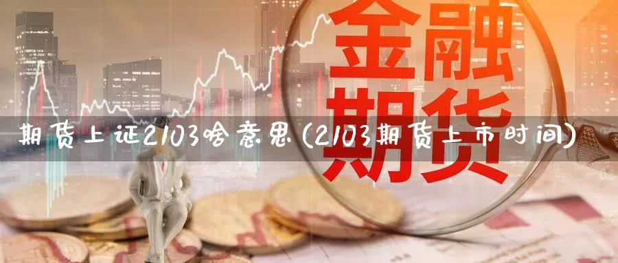 期货上证2103啥意思(2103期货上市时间)_https://www.07apk.com_期货行业分析_第1张