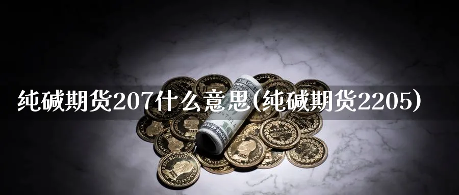 纯碱期货207什么意思(纯碱期货2205)_https://www.07apk.com_期货技术分析_第1张