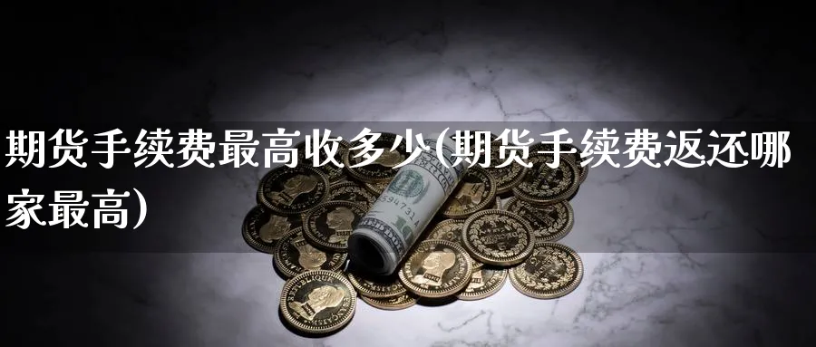 期货手续费最高收多少(期货手续费返还哪家最高)_https://www.07apk.com_原油期货_第1张