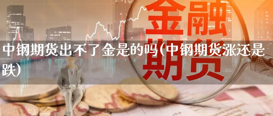 中钢期货出不了金是的吗(中钢期货涨还是跌)_https://www.07apk.com_股指期货_第1张