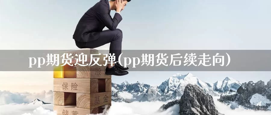 pp期货迎反弹(pp期货后续走向)_https://www.07apk.com_期货科普_第1张