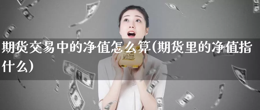 期货交易中的净值怎么算(期货里的净值指什么)_https://www.07apk.com_期货科普_第1张