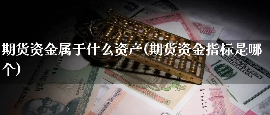 期货资金属于什么资产(期货资金指标是哪个)_https://www.07apk.com_期货行业分析_第1张