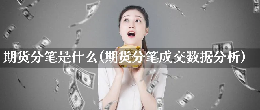 期货分笔是什么(期货分笔成交数据分析)_https://www.07apk.com_期货行业分析_第1张