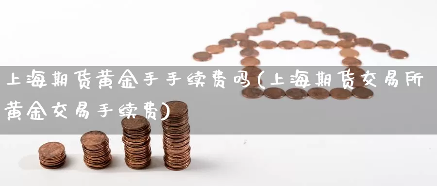 上海期货黄金手手续费吗(上海期货交易所黄金交易手续费)_https://www.07apk.com_期货技术分析_第1张