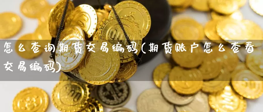 怎么查询期货交易编码(期货账户怎么查看交易编码)_https://www.07apk.com_期货技术分析_第1张