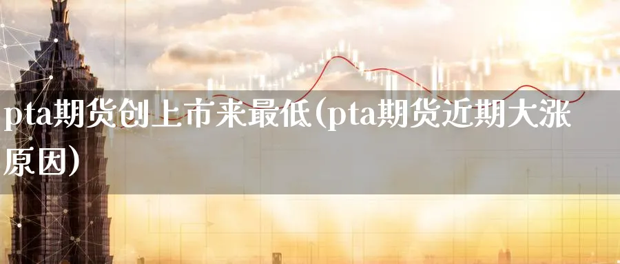 pta期货创上市来最低(pta期货近期大涨原因)_https://www.07apk.com_期货行业分析_第1张