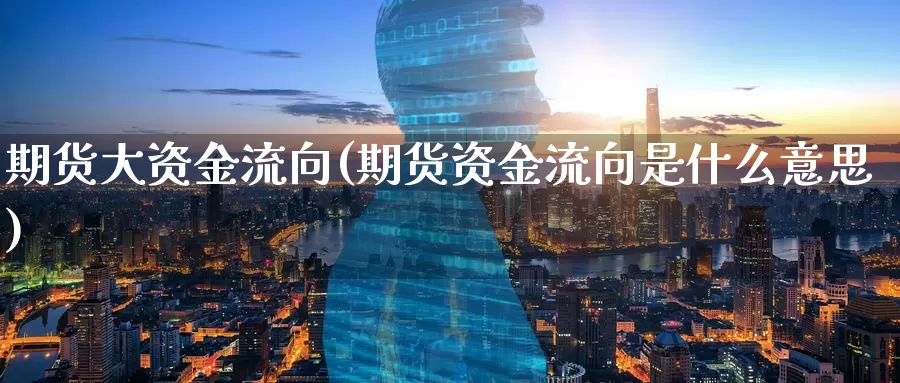 期货大资金流向(期货资金流向是什么意思)_https://www.07apk.com_原油期货_第1张