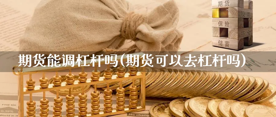 期货能调杠杆吗(期货可以去杠杆吗)_https://www.07apk.com_期货科普_第1张