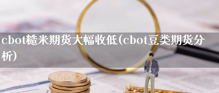 cbot糙米期货大幅收低(cbot豆类期货分析)_https://www.07apk.com_期货科普_第1张