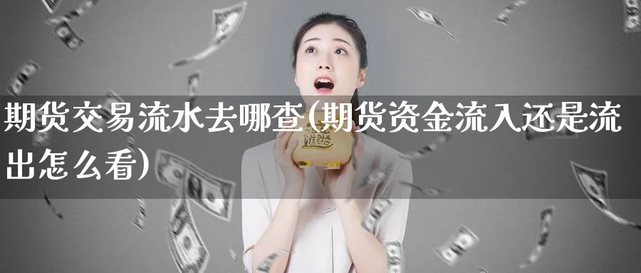 期货交易流水去哪查(期货资金流入还是流出怎么看)_https://www.07apk.com_期货行业分析_第1张