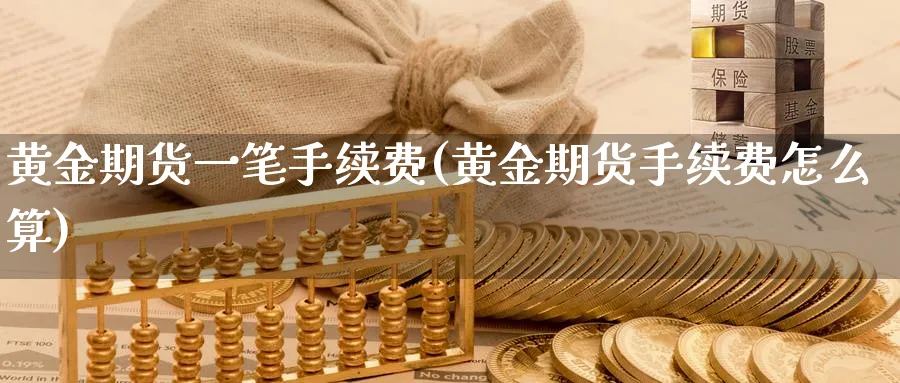 黄金期货一笔手续费(黄金期货手续费怎么算)_https://www.07apk.com_期货行业分析_第1张