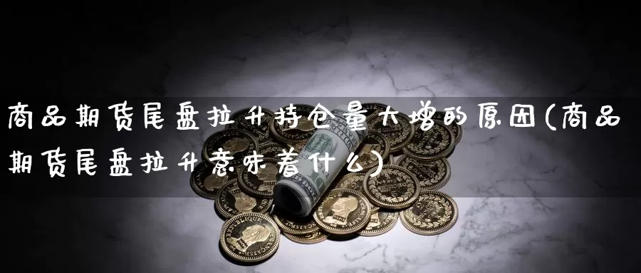 商品期货尾盘拉升持仓量大增的原因(商品期货尾盘拉升意味着什么)_https://www.07apk.com_期货科普_第1张