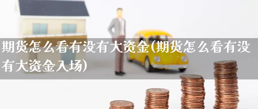 期货怎么看有没有大资金(期货怎么看有没有大资金入场)_https://www.07apk.com_股指期货_第1张