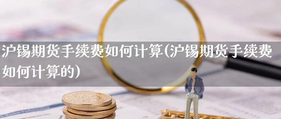 沪锡期货手续费如何计算(沪锡期货手续费如何计算的)_https://www.07apk.com_期货技术分析_第1张