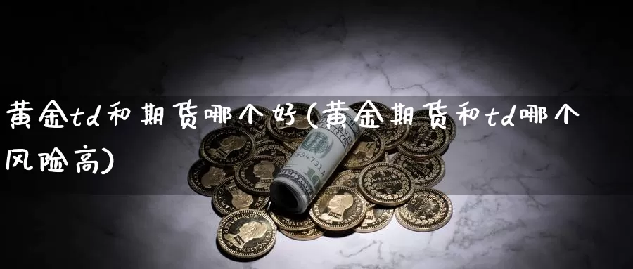 黄金td和期货哪个好(黄金期货和td哪个风险高)_https://www.07apk.com_股指期货_第1张