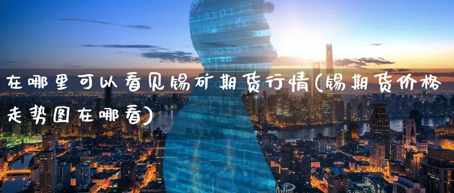 在哪里可以看见锡矿期货行情(锡期货价格走势图在哪看)_https://www.07apk.com_期货技术分析_第1张