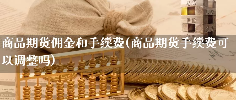 商品期货佣金和手续费(商品期货手续费可以调整吗)_https://www.07apk.com_农产品期货_第1张