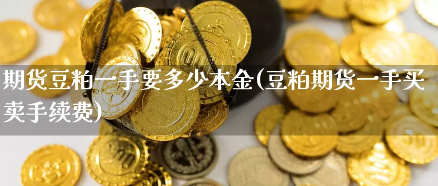 期货豆粕一手要多少本金(豆粕期货一手买卖手续费)_https://www.07apk.com_原油期货_第1张