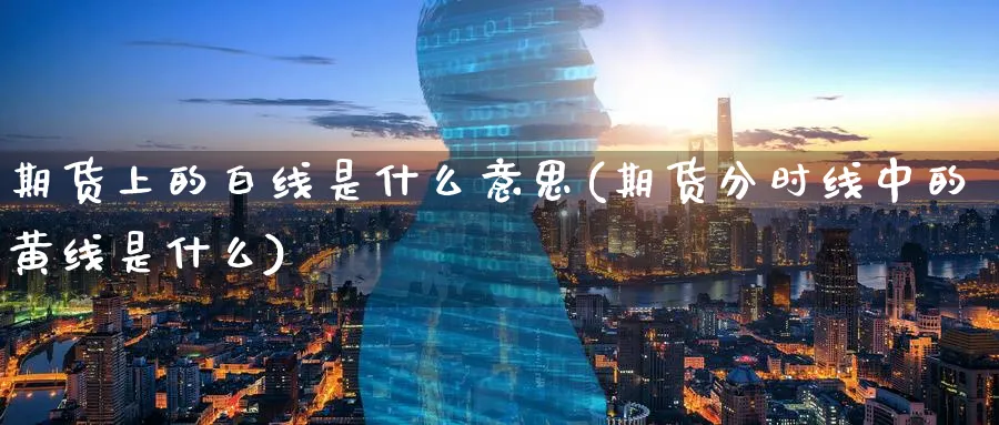 期货上的白线是什么意思(期货分时线中的黄线是什么)_https://www.07apk.com_期货科普_第1张