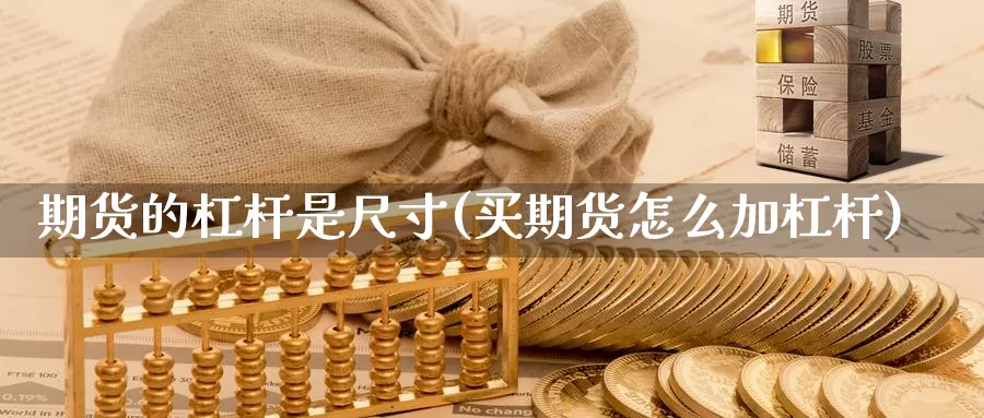 期货的杠杆是尺寸(买期货怎么加杠杆)_https://www.07apk.com_原油期货_第1张