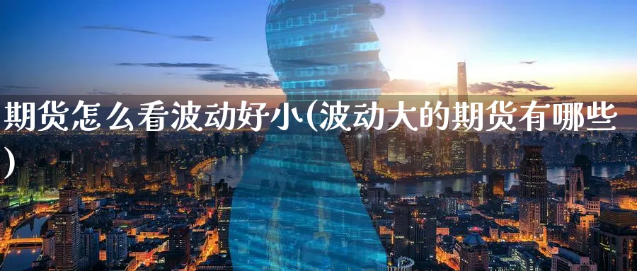 期货怎么看波动好小(波动大的期货有哪些)_https://www.07apk.com_原油期货_第1张