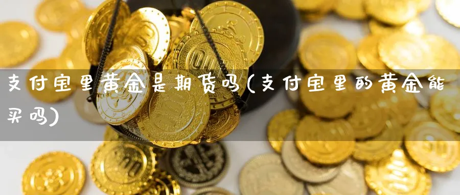 支付宝里黄金是期货吗(支付宝里的黄金能买吗)_https://www.07apk.com_原油期货_第1张