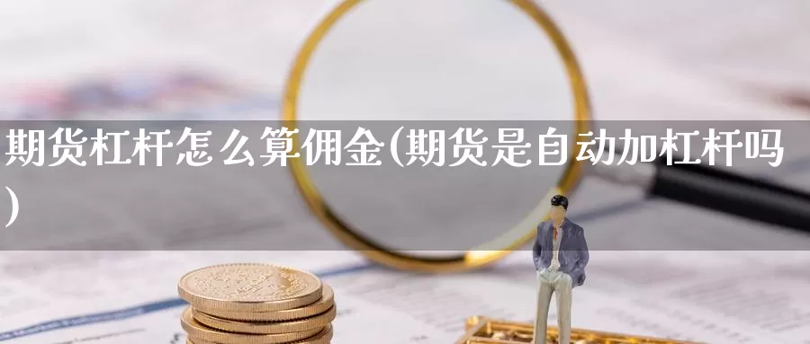 期货杠杆怎么算佣金(期货是自动加杠杆吗)_https://www.07apk.com_黄金期货直播室_第1张