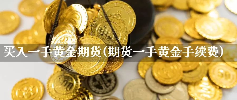 买入一手黄金期货(期货一手黄金手续费)_https://www.07apk.com_股指期货_第1张