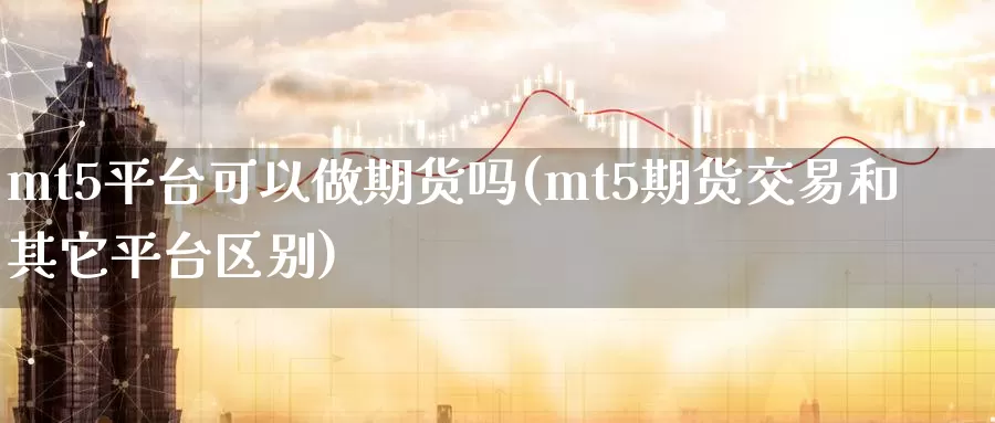 mt5平台可以做期货吗(mt5期货交易和其它平台区别)_https://www.07apk.com_股指期货_第1张