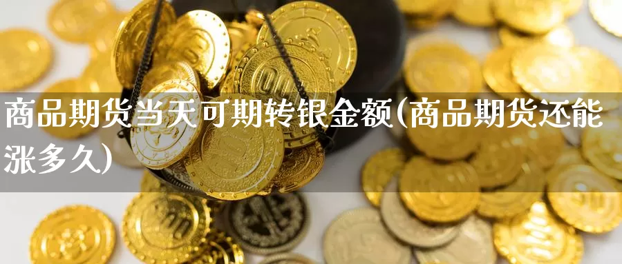 商品期货当天可期转银金额(商品期货还能涨多久)_https://www.07apk.com_期货行业分析_第1张