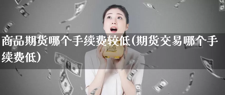 商品期货哪个手续费较低(期货交易哪个手续费低)_https://www.07apk.com_黄金期货直播室_第1张