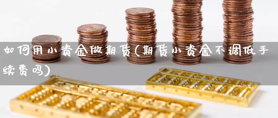 如何用小资金做期货(期货小资金不调低手续费吗)_https://www.07apk.com_期货技术分析_第1张