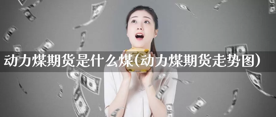 动力煤期货是什么煤(动力煤期货走势图)_https://www.07apk.com_期货行业分析_第1张