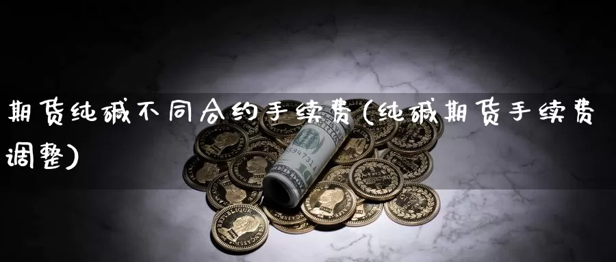 期货纯碱不同合约手续费(纯碱期货手续费调整)_https://www.07apk.com_原油期货_第1张