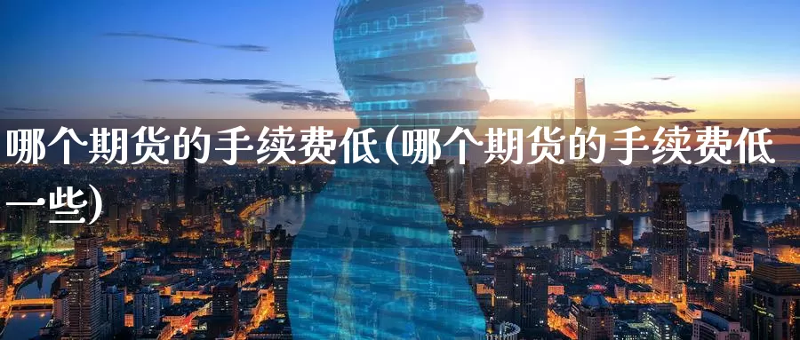 哪个期货的手续费低(哪个期货的手续费低一些)_https://www.07apk.com_黄金期货直播室_第1张