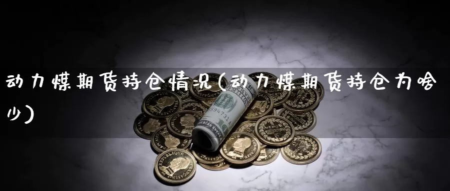 动力煤期货持仓情况(动力煤期货持仓为啥少)_https://www.07apk.com_股指期货_第1张