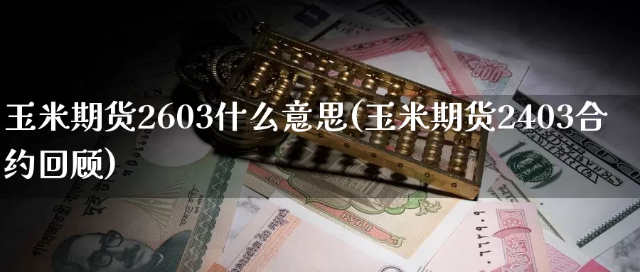 玉米期货2603什么意思(玉米期货2403合约回顾)_https://www.07apk.com_原油期货_第1张