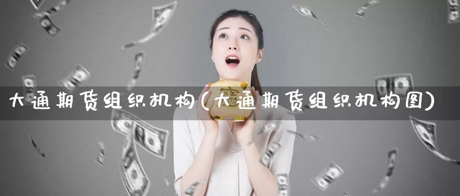 大通期货组织机构(大通期货组织机构图)_https://www.07apk.com_期货科普_第1张